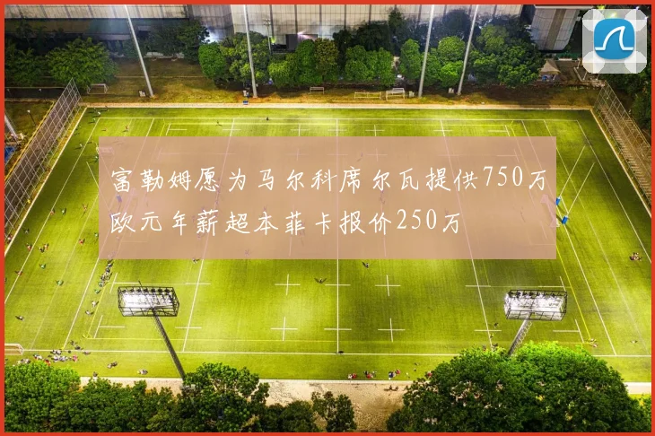 富勒姆愿为马尔科席尔瓦提供750万欧元年薪超本菲卡报价250万